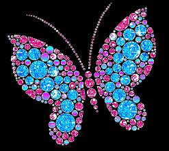 butterflyy