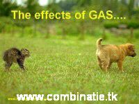 efectul gazului by combinatie