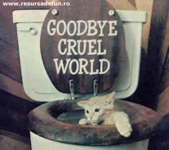 Goodbye cruel world