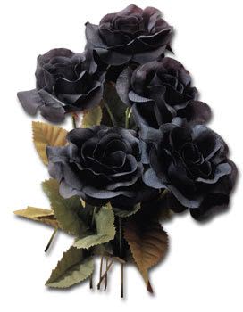 Black Roses clrd