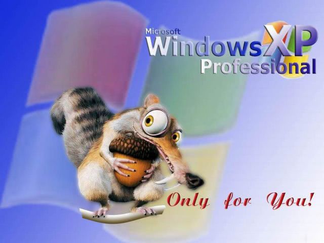 WindowsXP169