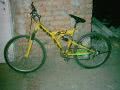 my bike woody