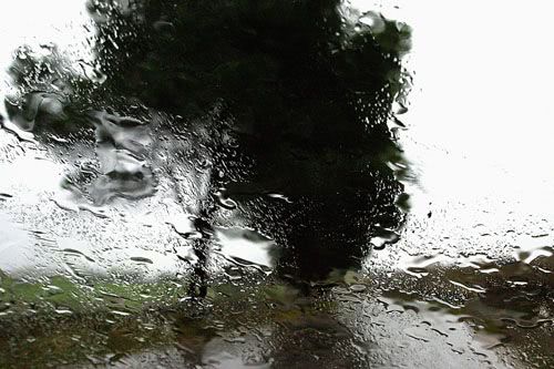Rain05 Kiarostami