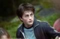 poze harry potteer si witch