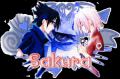 sakura love sasuke