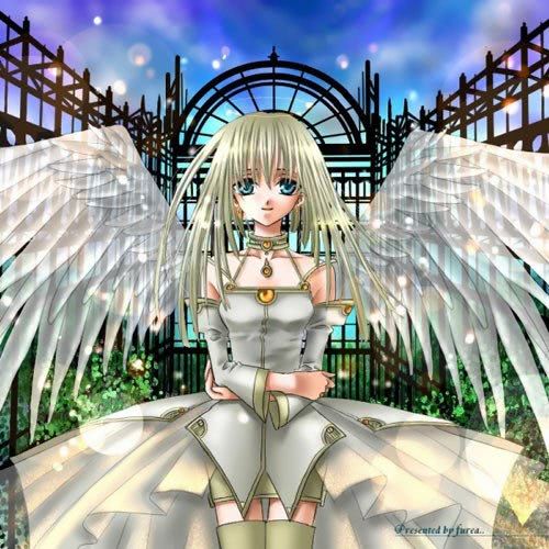 angel 35