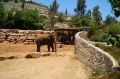 zoo israel