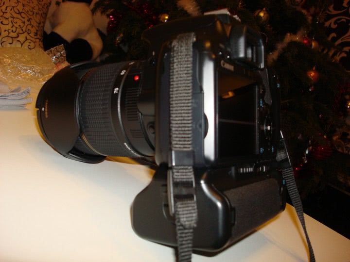 prune de vanzare olt