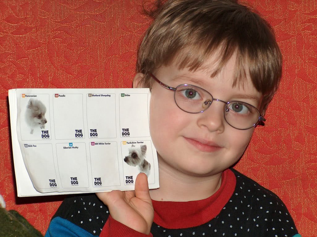 stiri alexandria jpg stiri alexandria