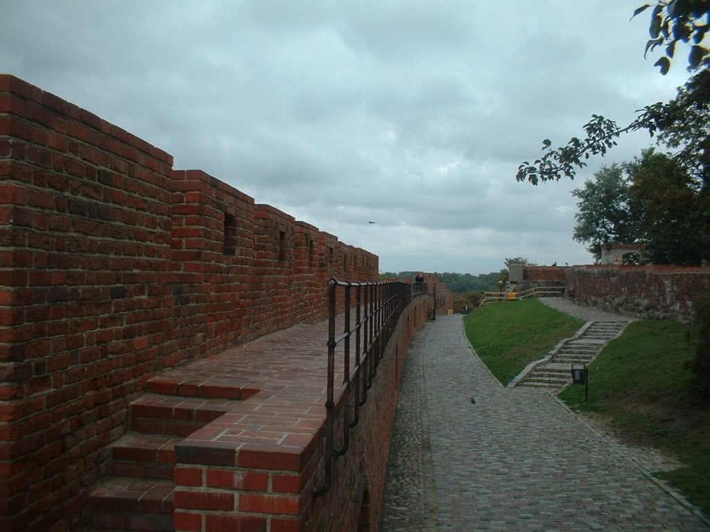 ciat xxx jpg ciat xxx