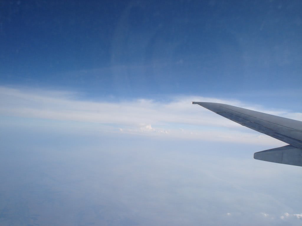 numere de telefon curve pitesti