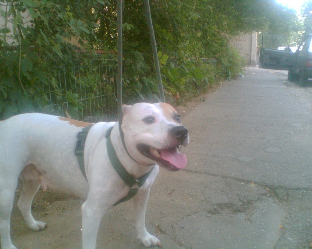 chatting mesum jpg chatting mesum