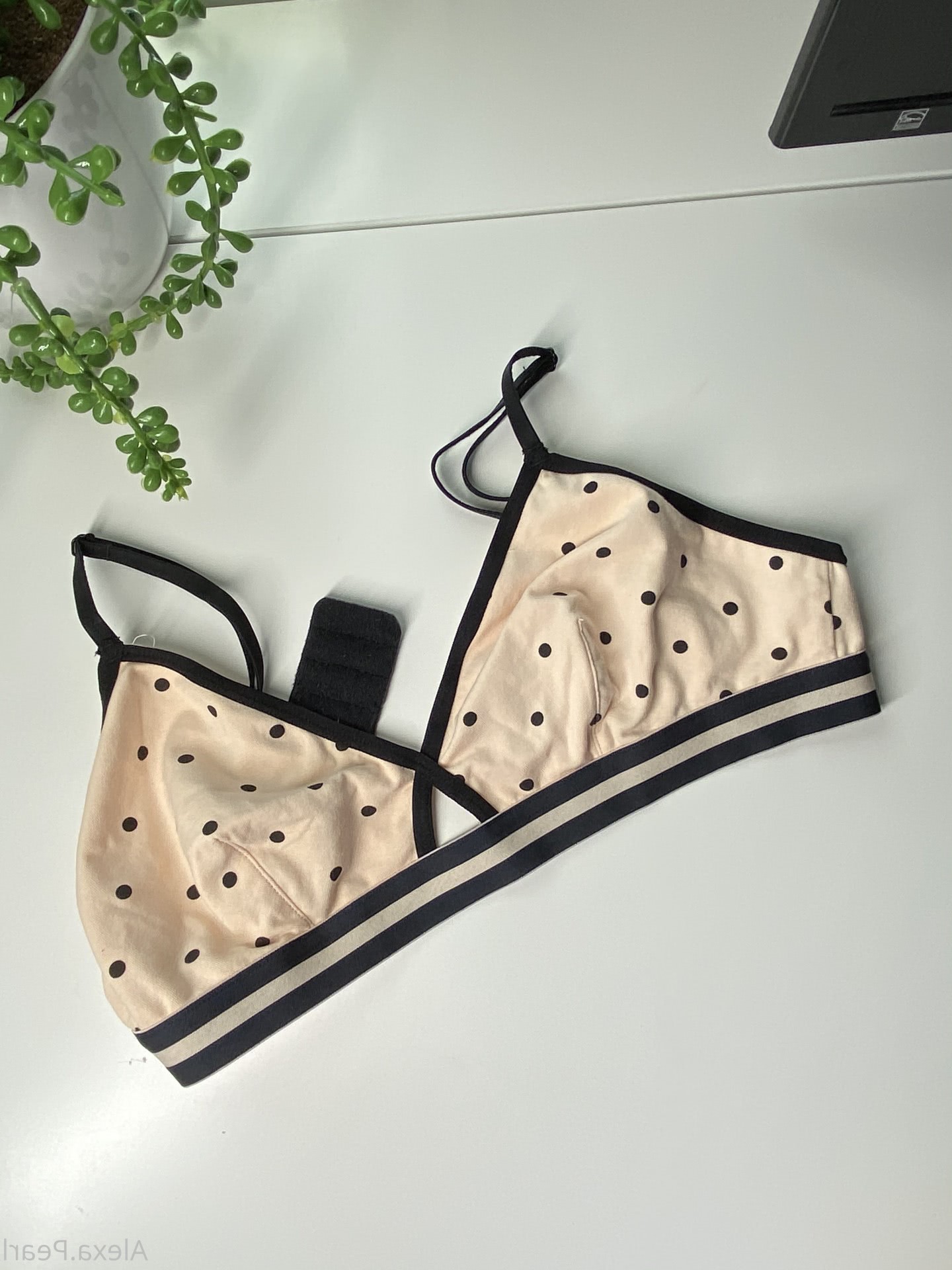 oops OnlyFans Alexa Pearl   @alexapearl   All Onlyfans Pictures