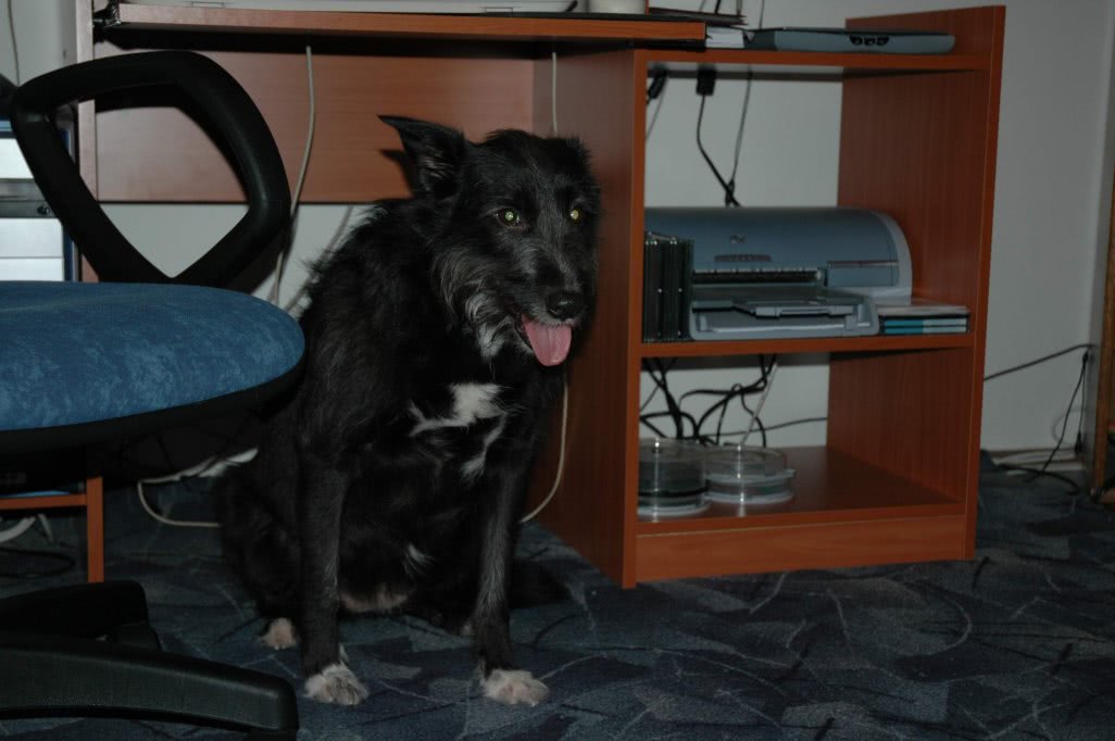 curvele din malu spart