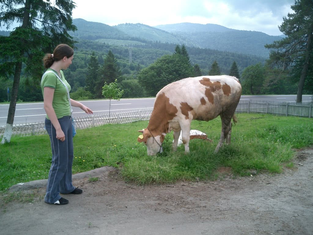 poze cu fete imbracate in craciunite