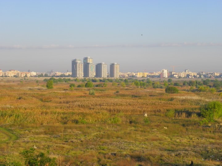 femeia care inseala jpg femeia care inseala