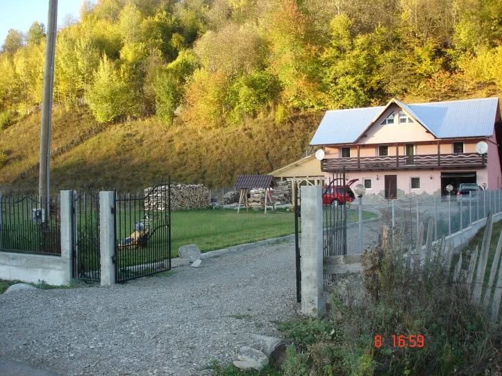 doamne pentru domni din buzau jpg doamne pentru domni din buzau