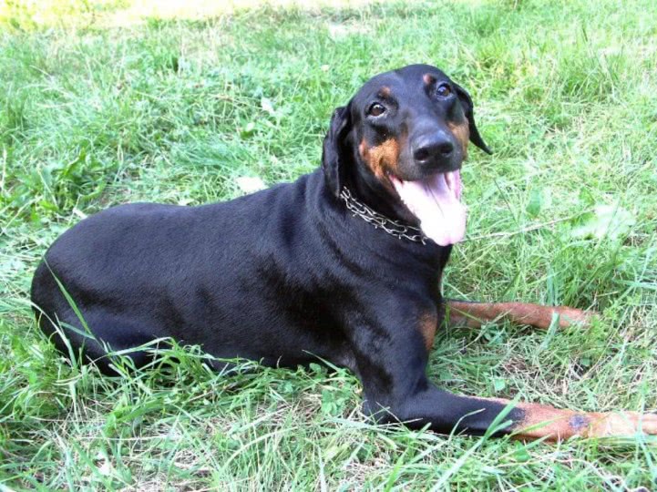 masaj la domiciliu sector 5