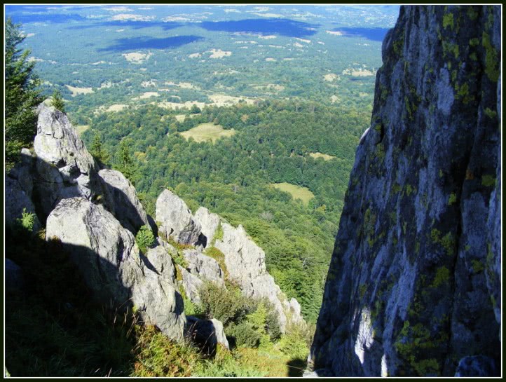 online curve fitting polynomial