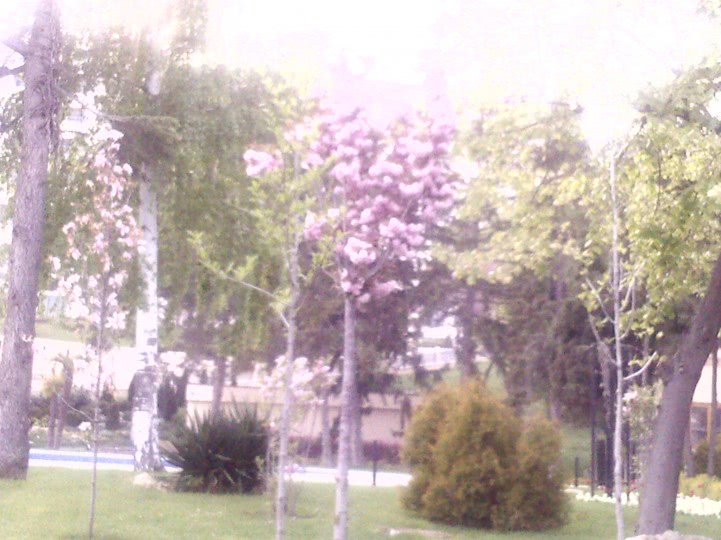 Fotografii 0220 jpg Fotografii 0220