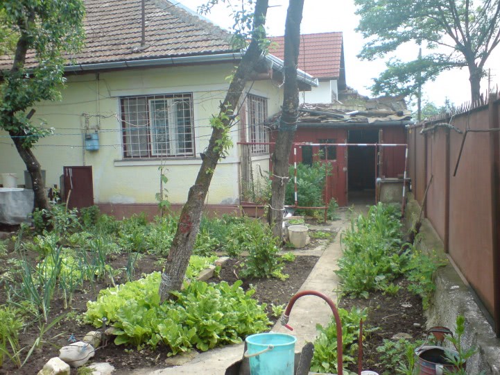 despre viata sexuala