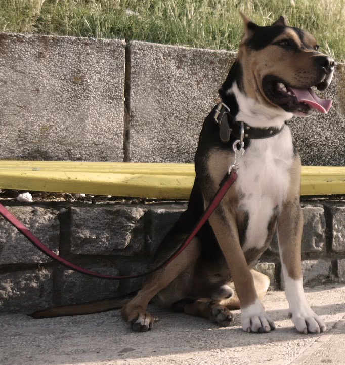 femei divortate cu nr de telefon jpg femei divortate cu nr de telefon