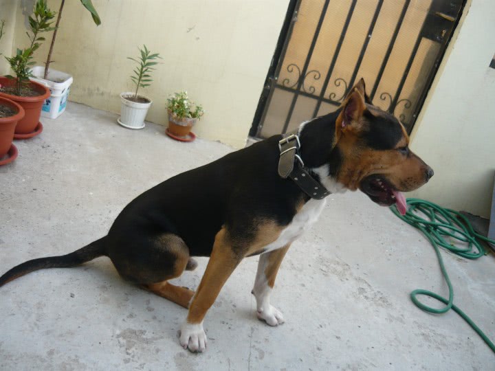 sibiu 100 la suta anunturi jpg sibiu 100 la suta anunturi