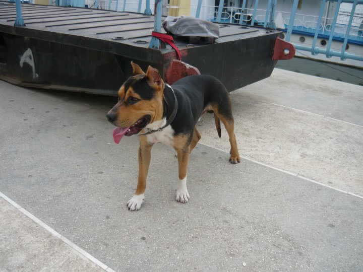 statusuri cele mai frumoase