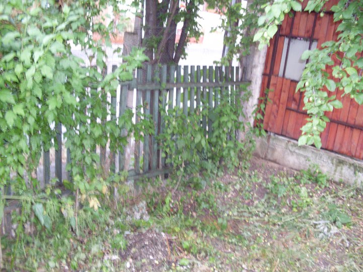 masaj erotic cluj manastur jpg masaj erotic cluj manastur