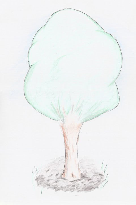 www olx tg mures jpg www olx tg mures