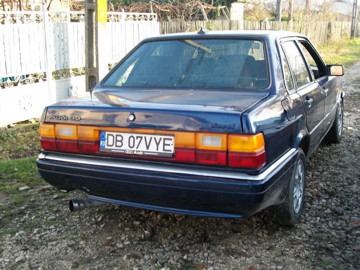 olx timisoara angajari femeie de serviciu