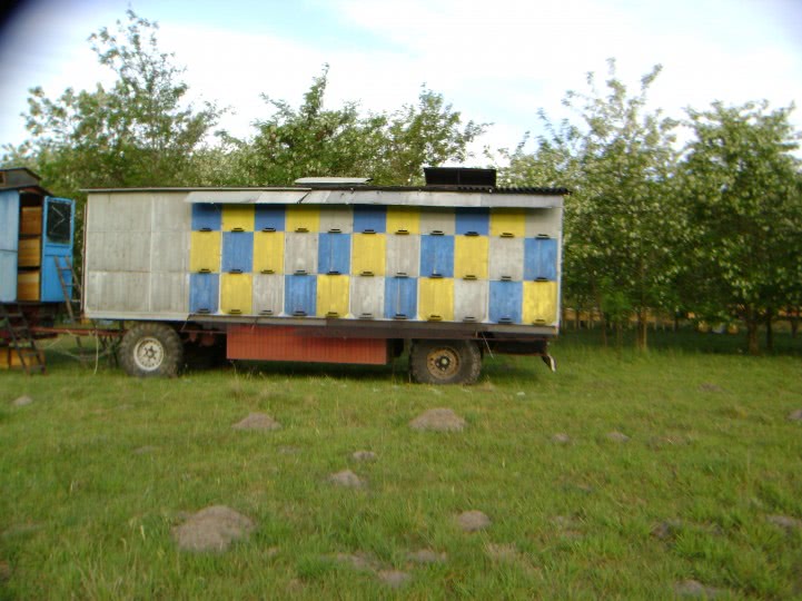 publi 24 cluj auto jpg publi 24 cluj auto