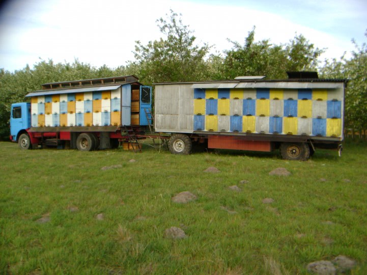 publi24 auto arad jpg publi24 auto arad