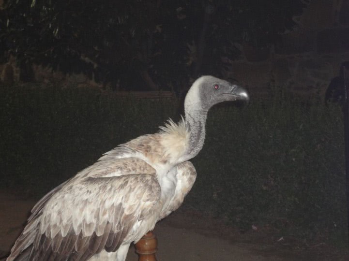 fata frumoasa jpg fata frumoasa