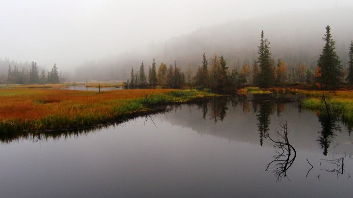 joy division bioglide jpg joy division bioglide