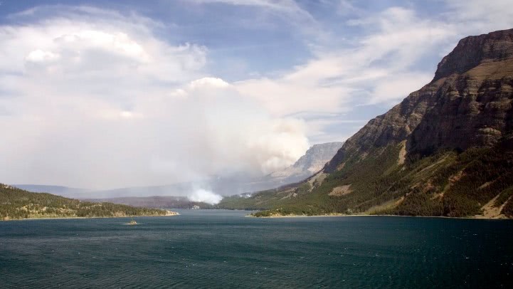 linia fierbinte online jpg linia fierbinte online