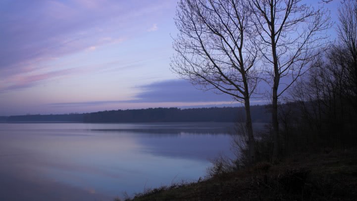 socializare online romania