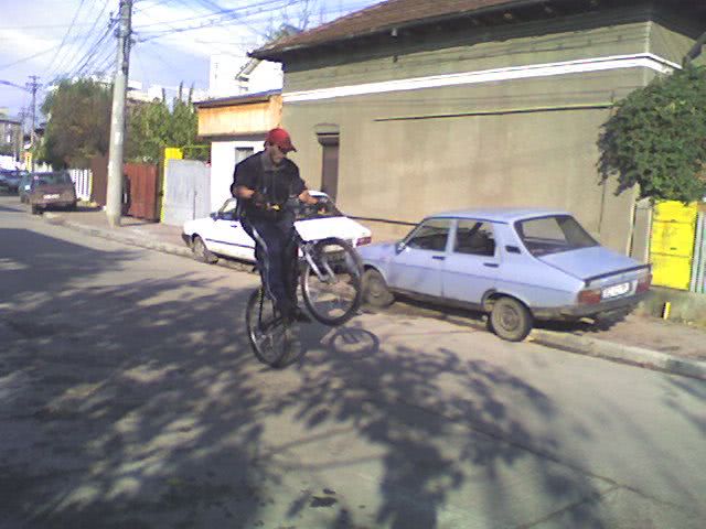 toys adult jpg toys adult