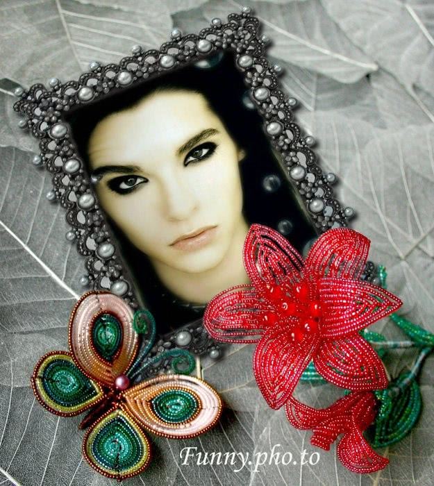 dame de compani baia mare jpg dame de compani baia mare