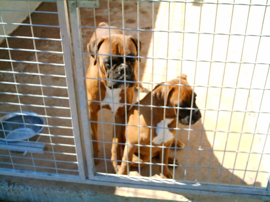 cele mai slabe fete jpg cele mai slabe fete