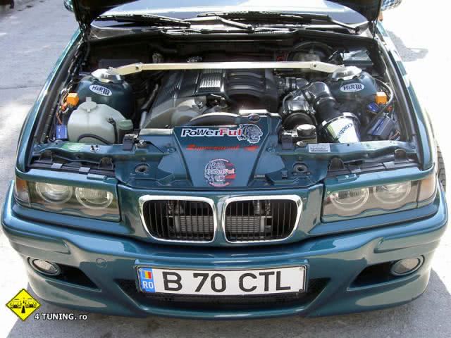 sulina live jpg sulina live