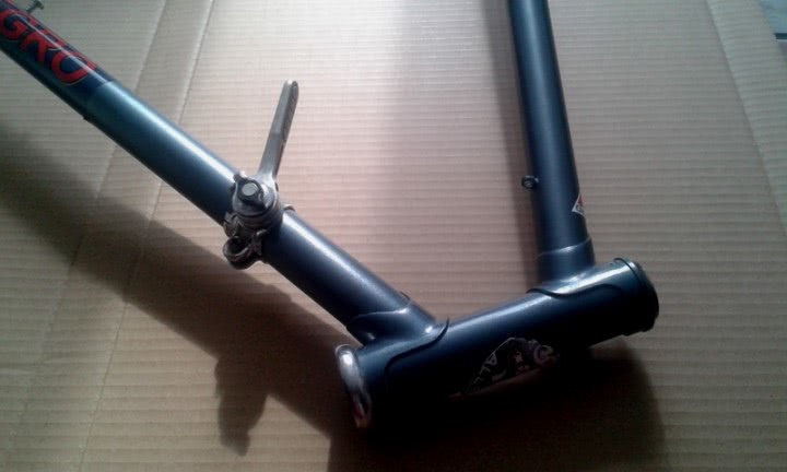 prostituate din focsani