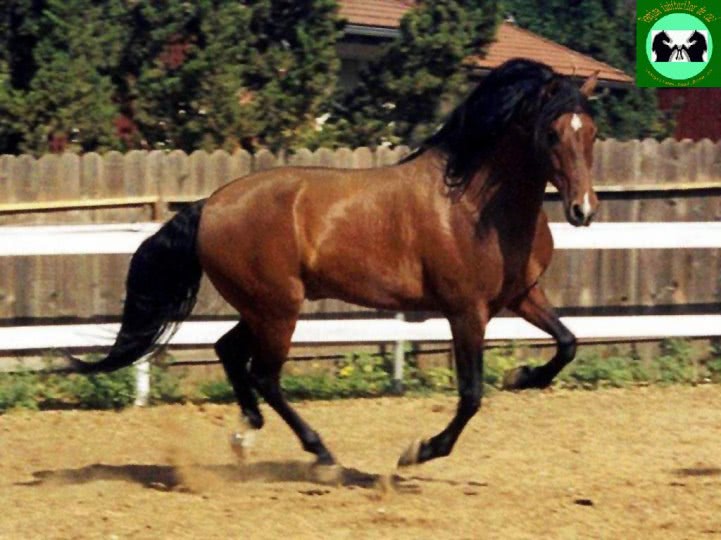 id uri de mes online jpg id uri de mes online