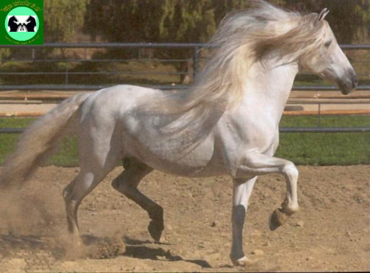 www curvescomplete com jpg www curvescomplete com