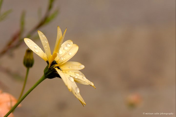 fete cu numar de telefon din moldova jpg fete cu numar de telefon din moldova