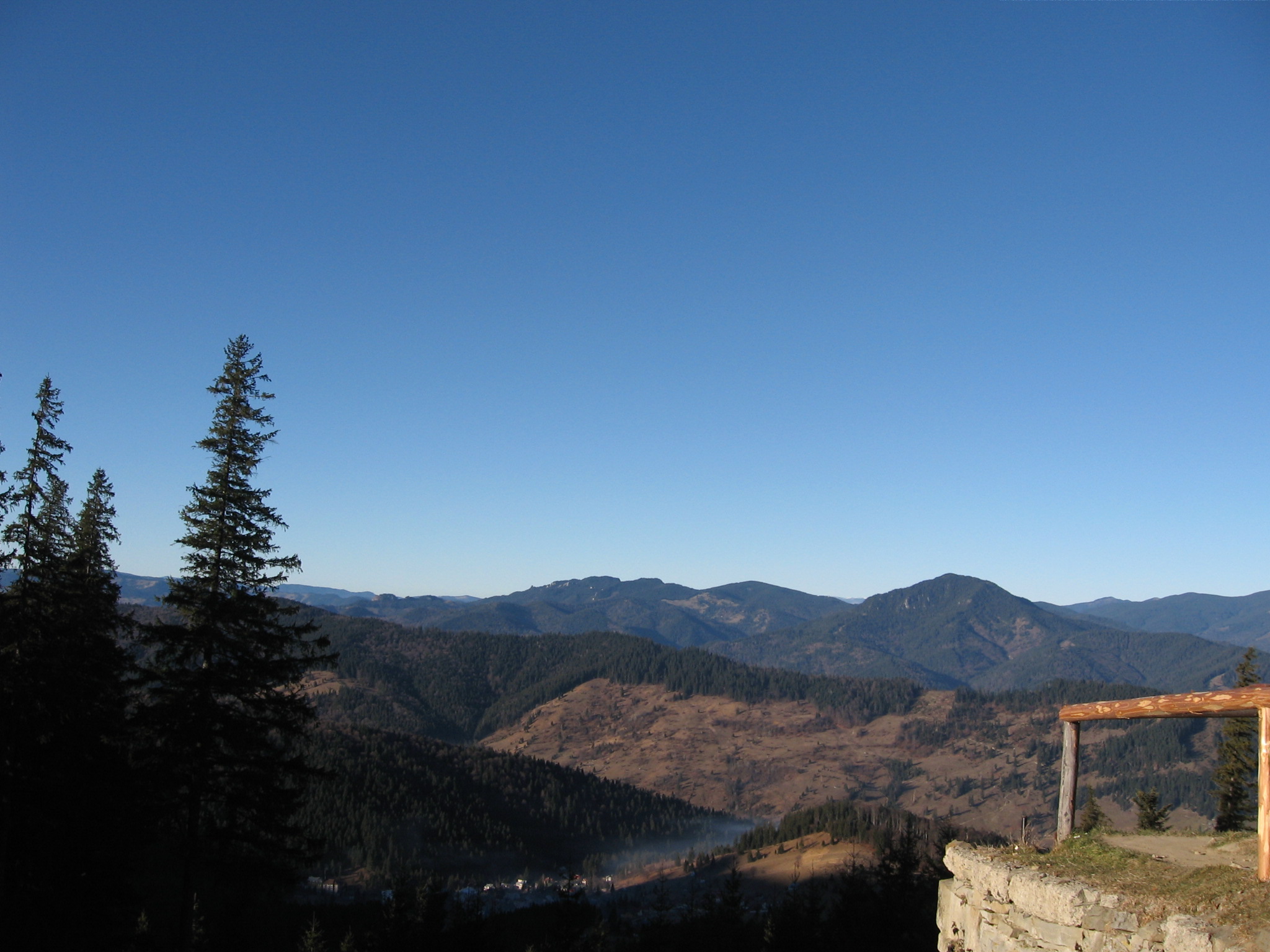 caut gazda craiova jpg caut gazda craiova