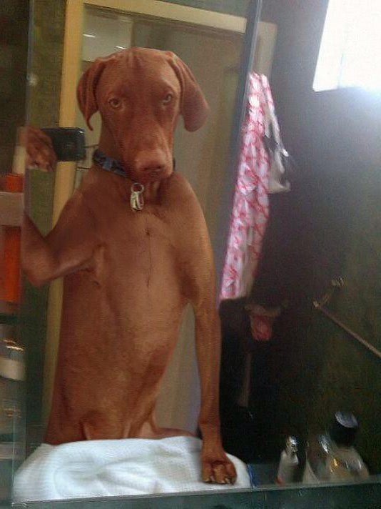 cele mai frumoase femei ptr jpg cele mai frumoase femei ptr