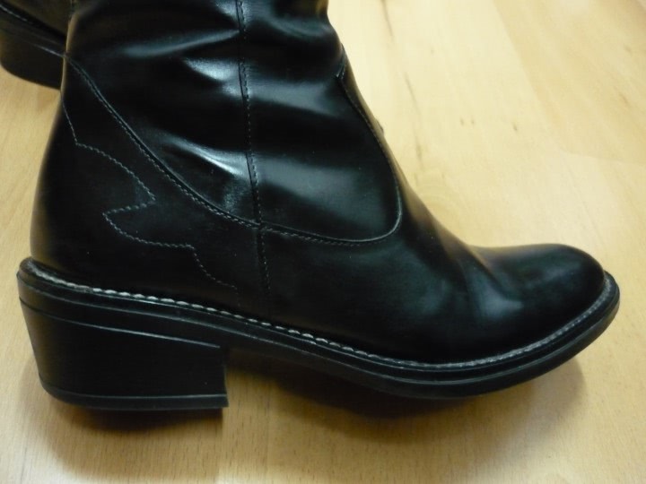 dama de companie scribd