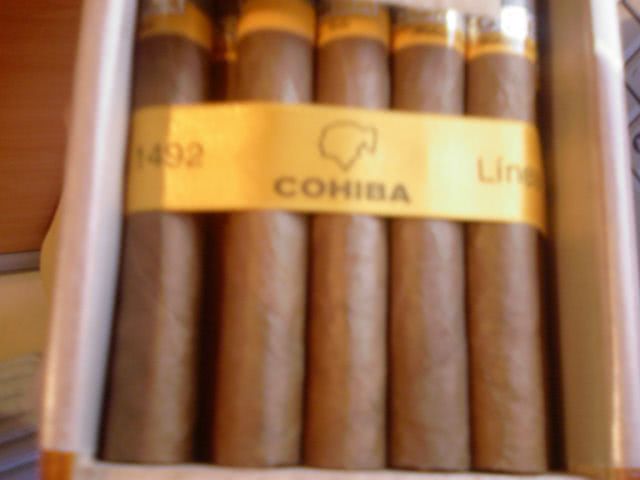 Photo 0497 jpg Photo 0497