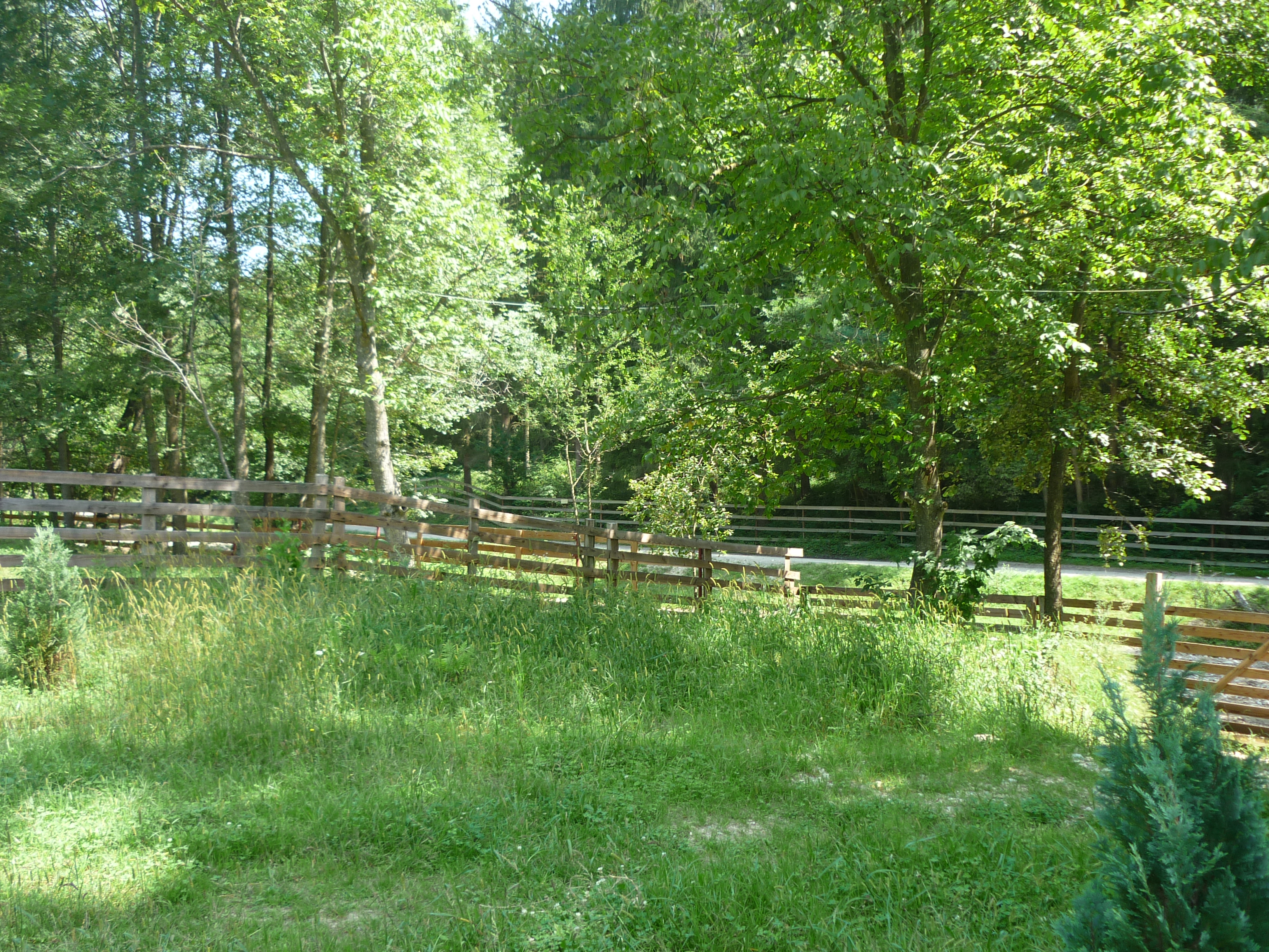 metode de excitare la femei jpg metode de excitare la femei